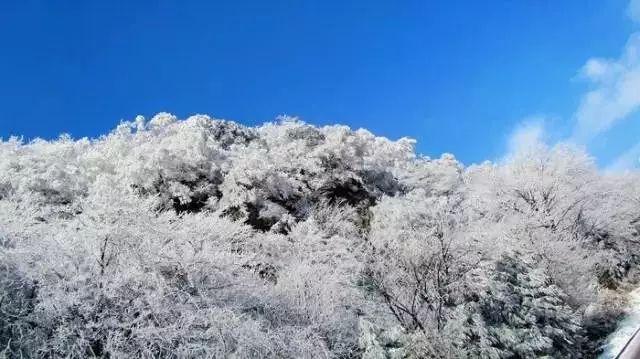 亚当寻找夏娃5