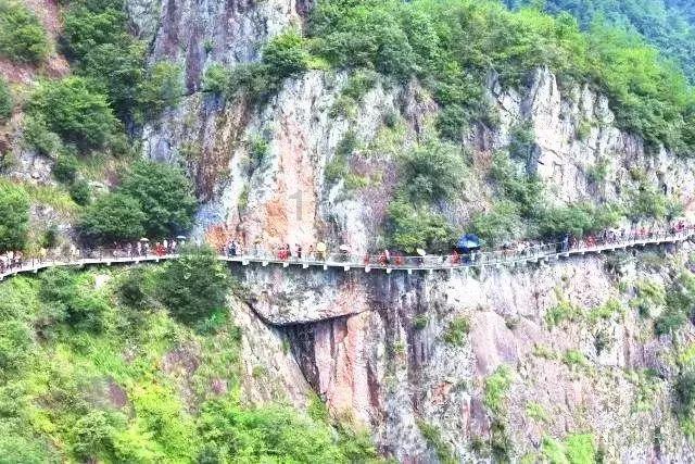 细胞分裂4