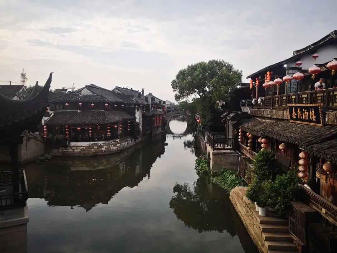 拯救小萌虎